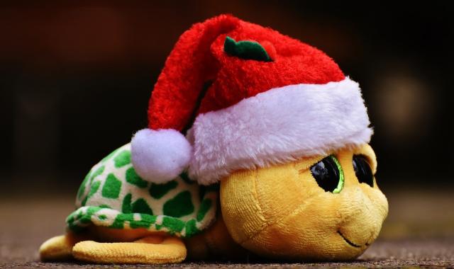 Tartaruga di Natale regali