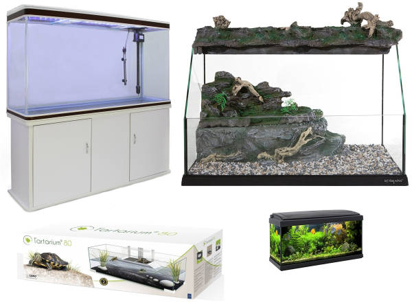 Acquario grande per tartarughe acquatiche Acquario grande per tartarughe