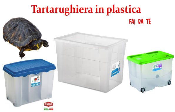 Tartarughiera in plastica dove comprarla