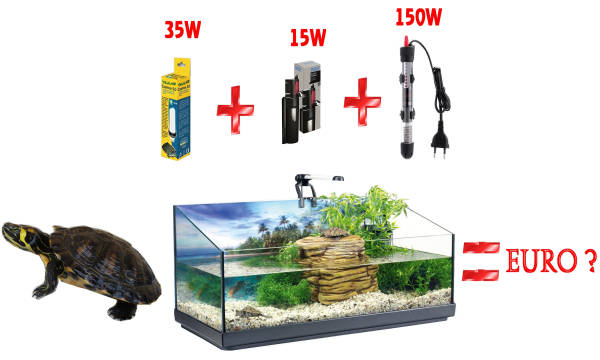 Quanta corrente consuma un acquaterrario? Quanta corrente consuma la tartarughiera