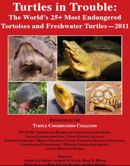 La copertina dell'ebook 25 specie tartarughe terrestri e acqua dolce in estinzione