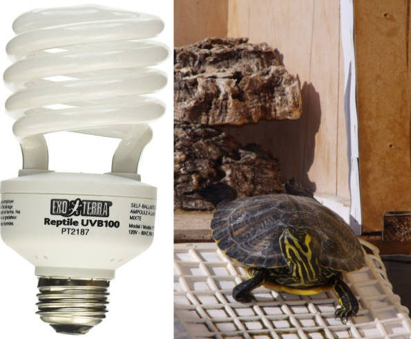 Lampade raggi UVB prezzi