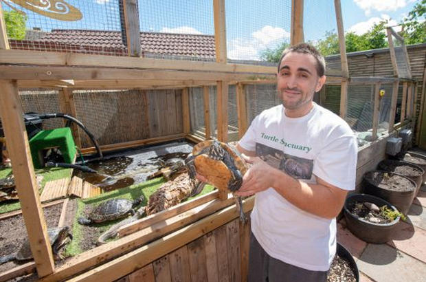 Michael Butcher con le sue tartarughe L'uomo delle 1.000 tartarughe d'acqua dolce