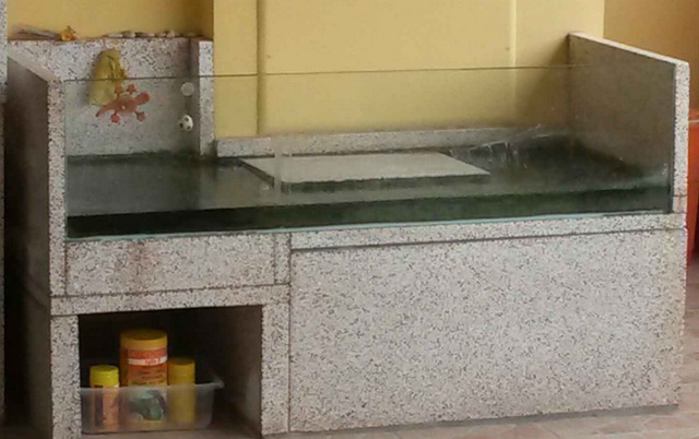 Terracquario di grandi dimensioni Tartarughiera in muratura e vetro