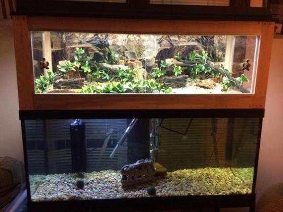 Un vero Terra Acquario Tartarughiere a due piani collegati