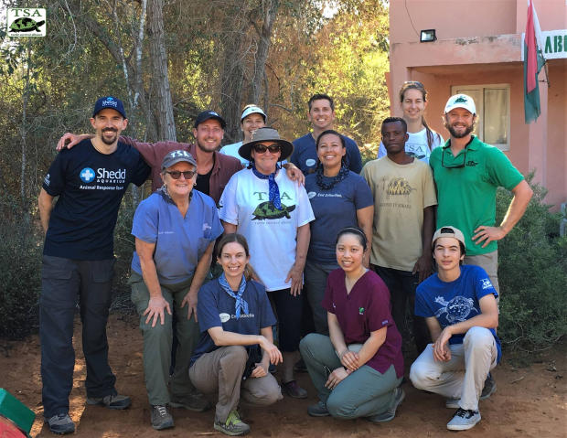Veterinari e specialisti dagli USA Team Radiata 2