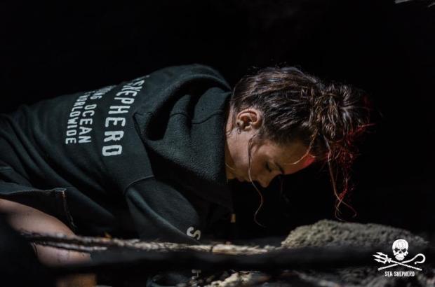 Bracconieri di tartarughe Volontari Sea Shepherd aggrediti