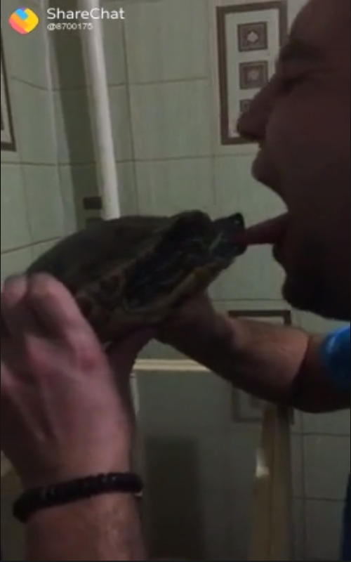 Bacio alla tartaruga