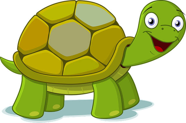 Tartaruga colorata e sorridente Tartaruga Disegno
