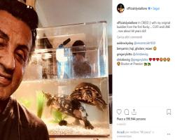 Tarta e Ruga di Rocky Balboa il video