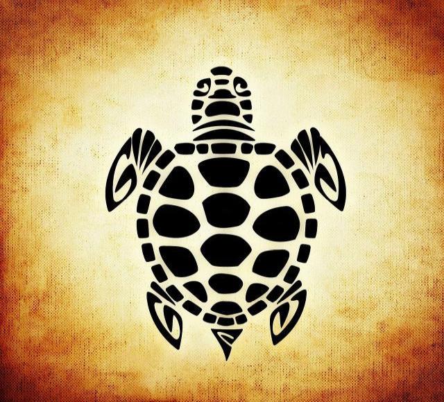 Significato Tartaruga Maori