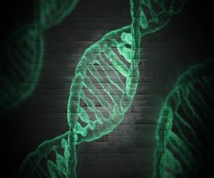 DNA ambientale tartarughe marine