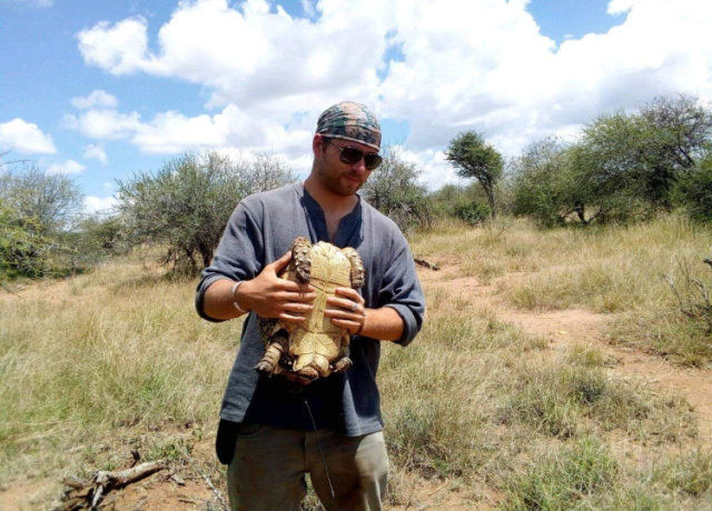 Daniel Petticord dell'Univ. di Princeton Tartaruga leopardo Kenya