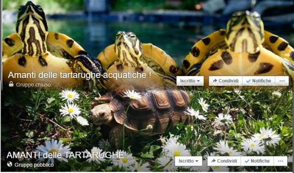 Intestazione delle community