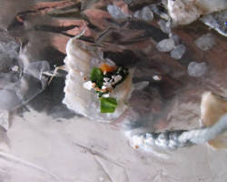Involtino di vegetali