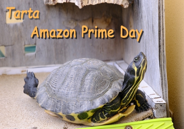 Ruga e la scritta Tarta Amazon Prime Day Tarta Amazon Prime Day