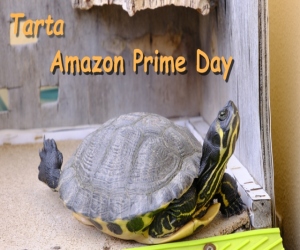 Tarta Amazon Prime Day