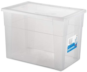 Scatola plastica trasparente Box plastica tartaruga acquatica baby
