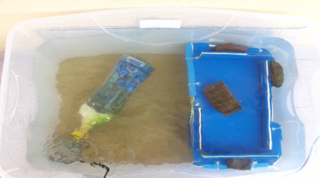 Appartamento acquatico tartaruga