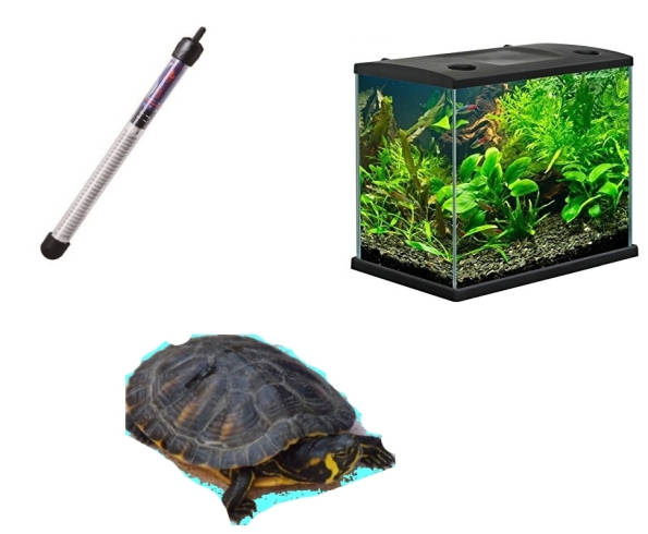Riscaldatore fai da te per tartarughiera Riscaldatore acquario fai da te