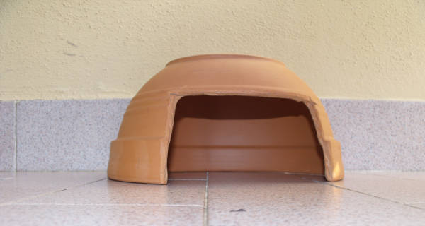 Da vaso a grotta Grotte in terracotta acquariofilia