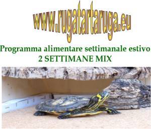 immagine 2 settimane mix