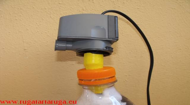 pompa e filtro tartarughiera