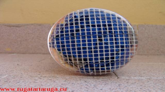 bottiglia con rete