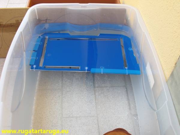 Come realizzare ricovero acquatico per tartarughe d'acqua dolce Il pannello di plastica