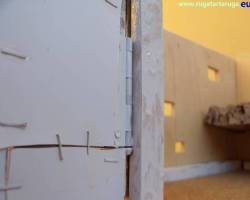 Particolare