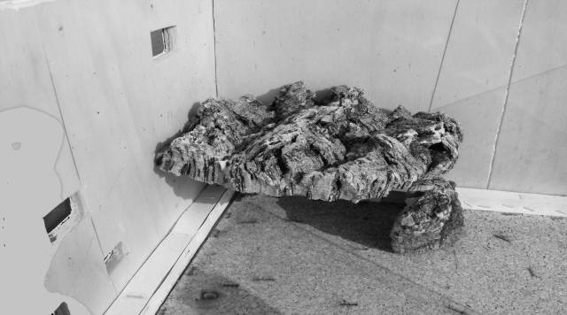 riparo all'ombra su zona basking grotta in sughero grezzo