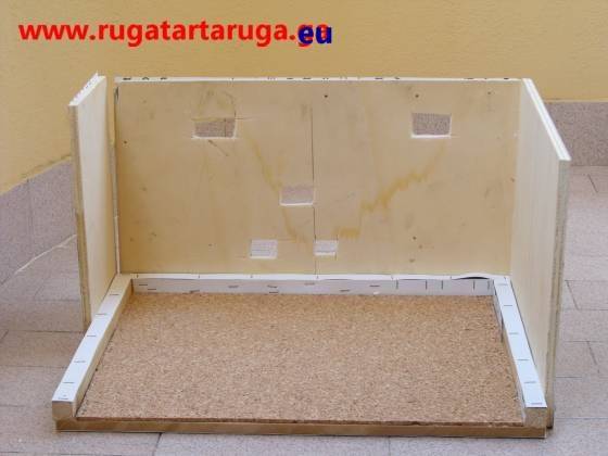 Fase intermedia di montaggio Zona emersa tartaruga