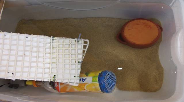 Preparazione fondale tartarughiera con sabbia