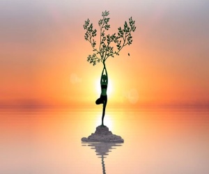 Ecologismo di facciata