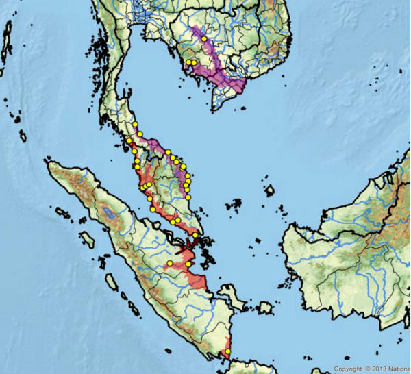 Area geografica naturale Batagur affinis