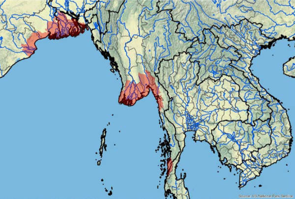 Mappa Northern river terrapin in natura Habitat naturale di vita Batagur baska