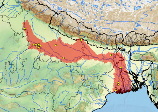 Habitat di vita tartaruga B. kachuga Area geografica naturale Batagur kachuga