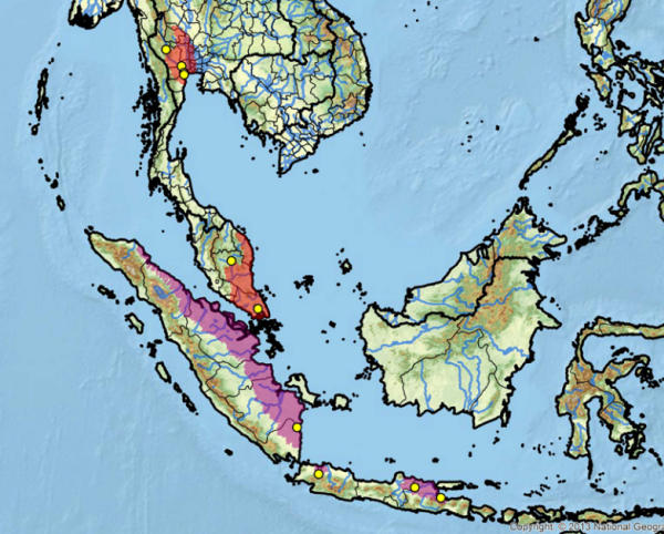 Chitra chitra area geografica