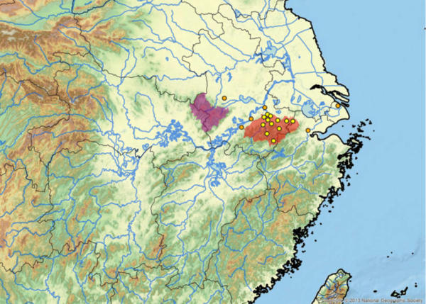 Collocazione geografica C. aurocapitata Cuora aurocapitata Nanling County, Anhui