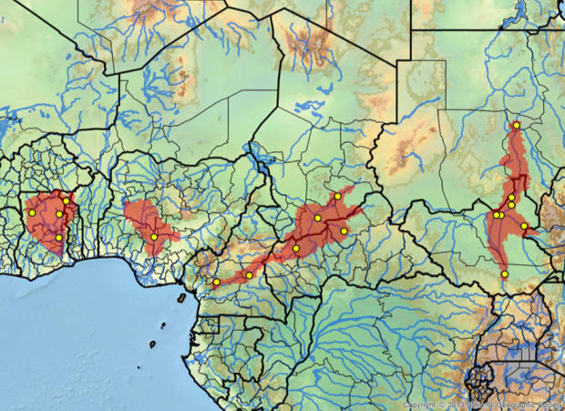 Abita nella regione del Sahel Habitat naturale della Cyclanorbis elegans