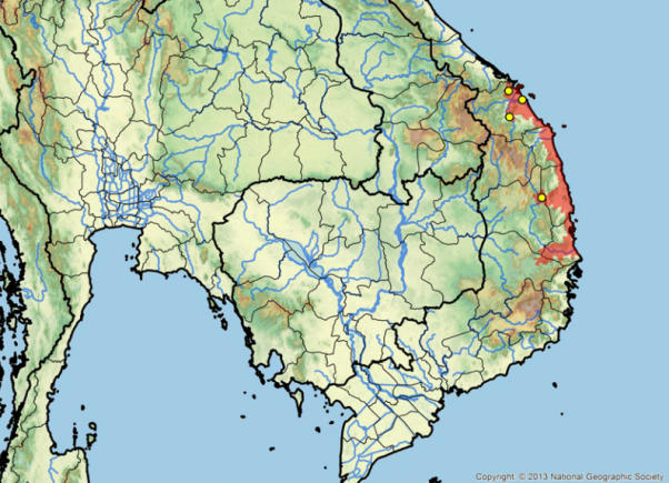 Mauremys annamensis vive in Vietnam Mauremys annamensis habitat e area geografica
