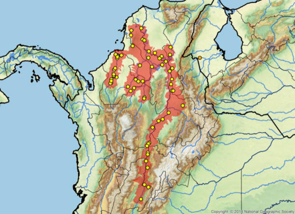 Area geografica Magdalena River Turtle Podocnemis lewyana vive in Colombia