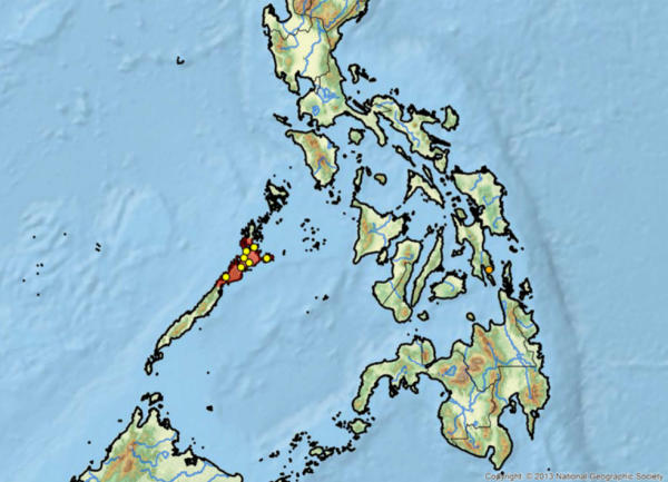 Tartaruga d'acqua nella provincia di Palawan, Filippine Dove vive in natura Siebenrockiella leytensis