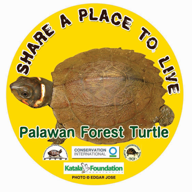 Palawan Forest turtle Filippine