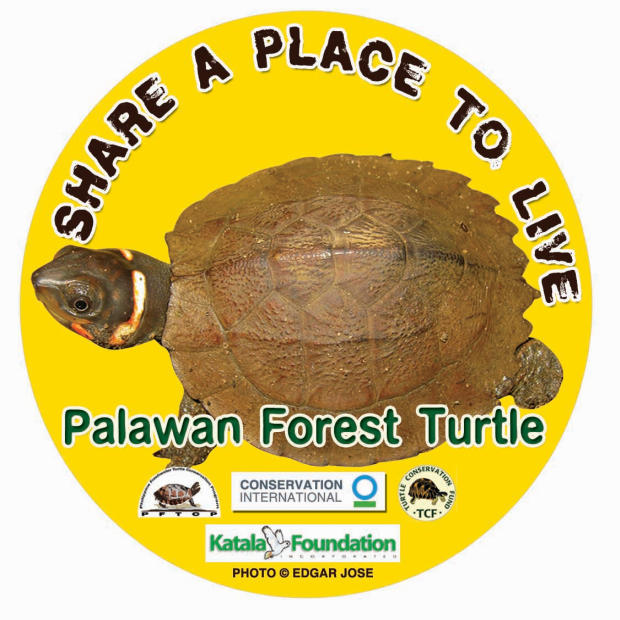 Il programma di salvaguardia Palawan Forest turtle Filippine