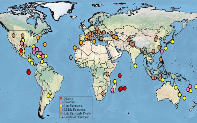 Distribuzione geografica tartarughe estinte
