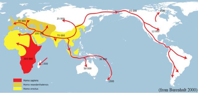 Spostamenti dell'uomo nelle tappe evolutive Movimenti espansivi uomo preistorico