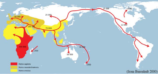 Movimenti espansivi uomo preistorico