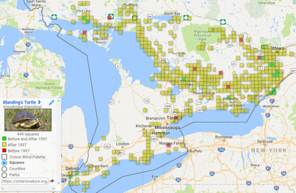 Distribuzione in Ontario Emydoidea blandingii