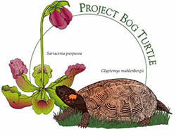 Progetto Bog Turtle